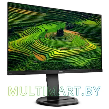 Монитор Philips 241B8QJEB/00 картинка 2